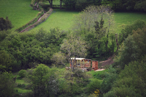 Burnt Wood Cabin