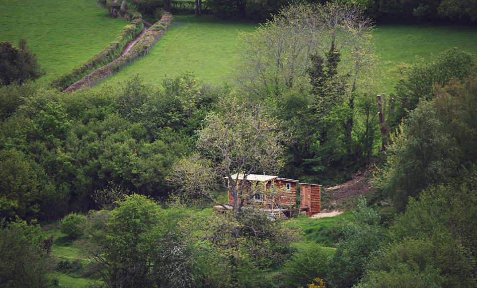 Burnt Wood Cabin, Powys, Crown and Canopy, Exterior View 1