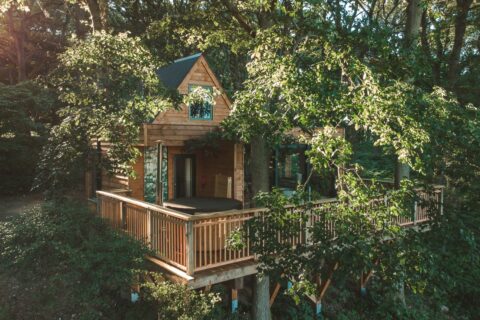 Brinsop Court Treehouses