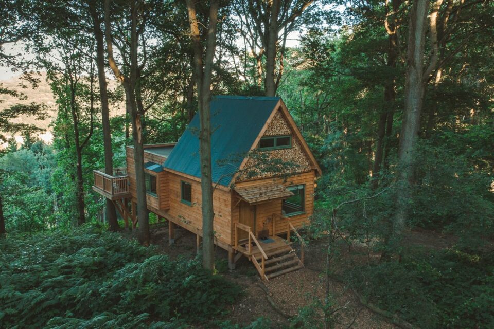 Crown and Canopy - The Quist Treehouse - Exterior 3